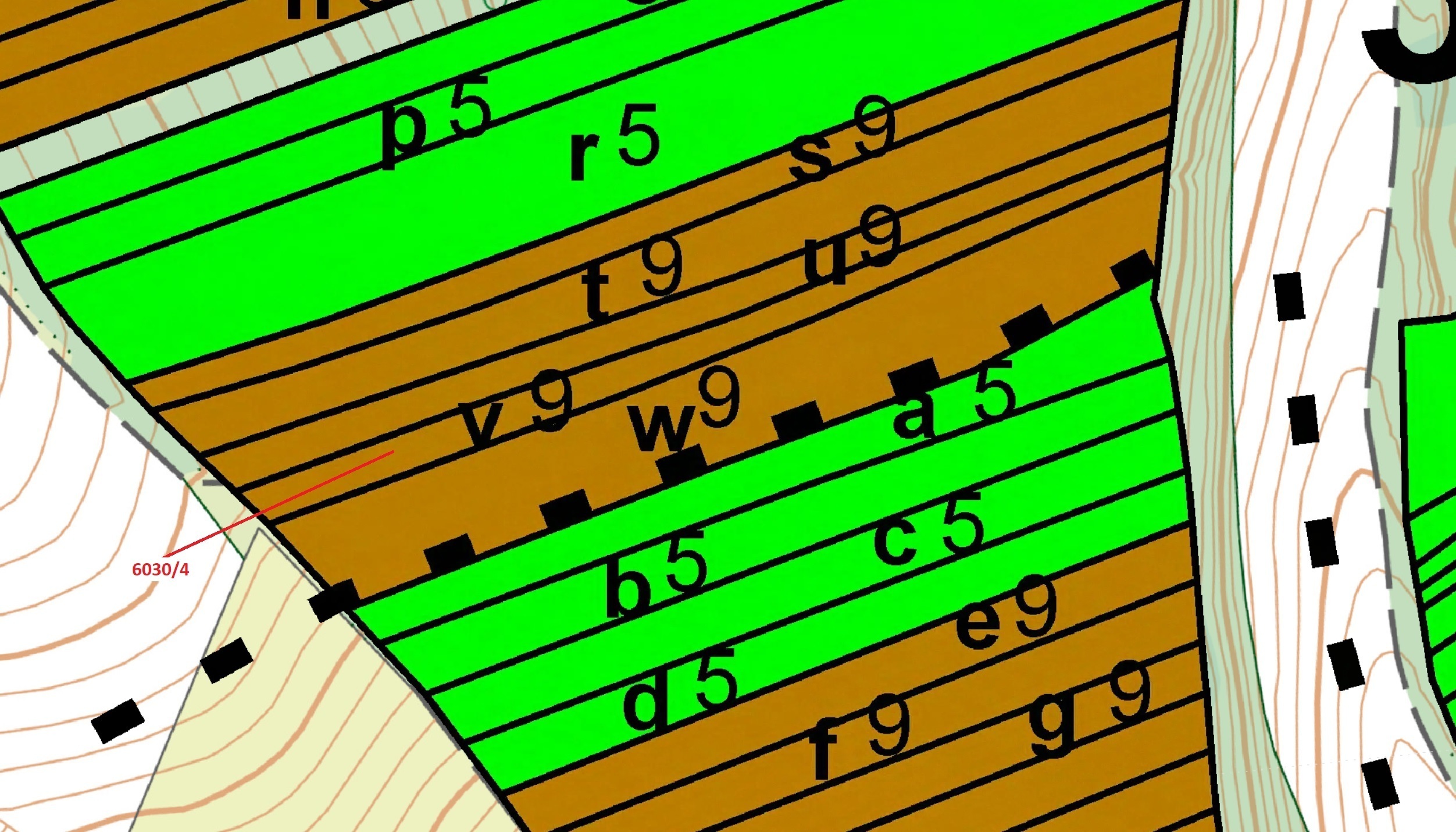 Lesní pozemek o výměře 2108 m2, podíl 1/1, k.ú. Archlebov, okres Hodonín