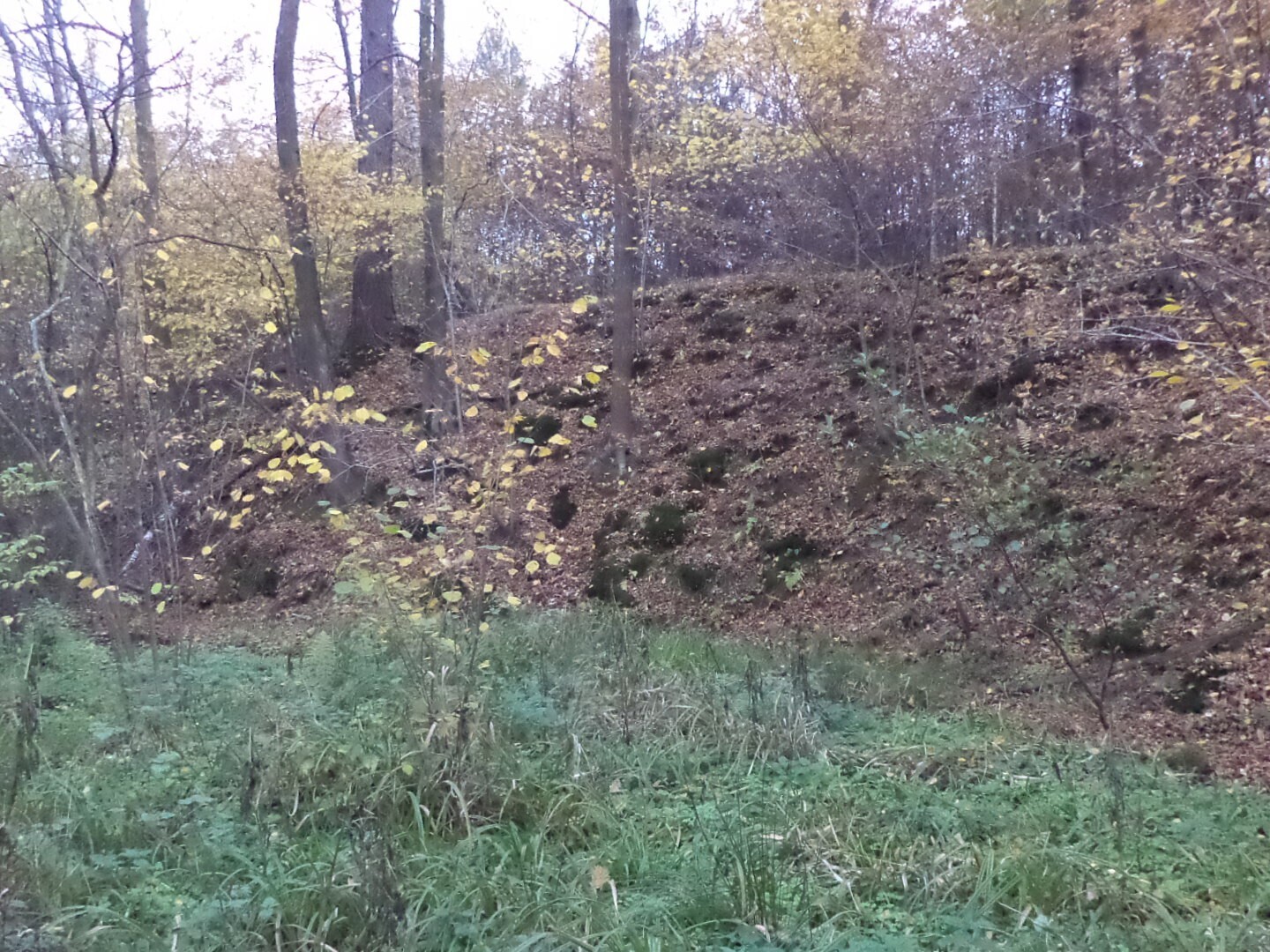 Pozemek o velikosti 3946m2, Mosty u Českého Těšína, opakovaná dražba