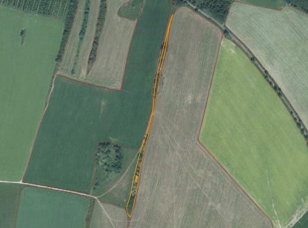 Prodej - pozemek, trvalý travní porost, 4 443 m²