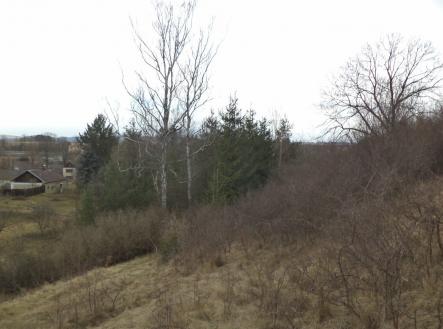 Prodej - pozemek, trvalý travní porost, 3 291 m²