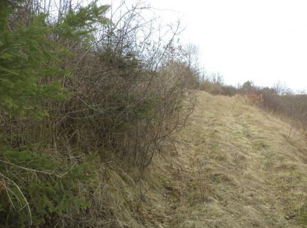 Prodej - pozemek, trvalý travní porost, 3 291 m²