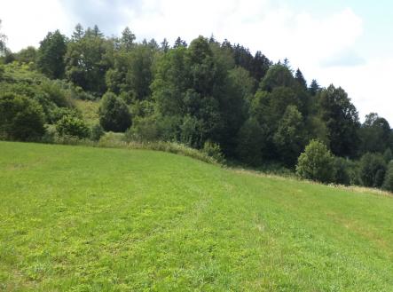 Prodej - pozemek, trvalý travní porost, 3 776 m²