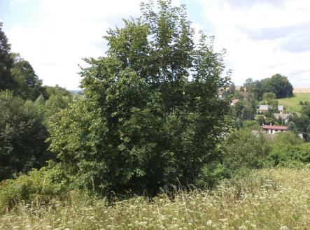Prodej - pozemek, trvalý travní porost, 3 776 m²