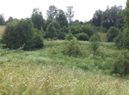 Prodej - pozemek, trvalý travní porost, 3 776 m²