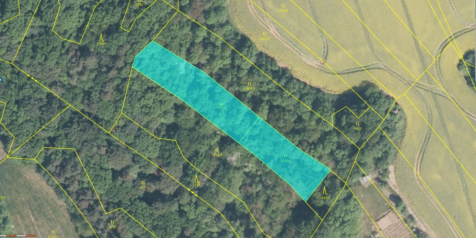 Trvalý travní porost o výměře 2254 m2, podíl 1/1, katastrální území Traplice, obec Traplice, obec s 