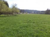 Prodej - pozemek, trvalý travní porost, 2 759 m²