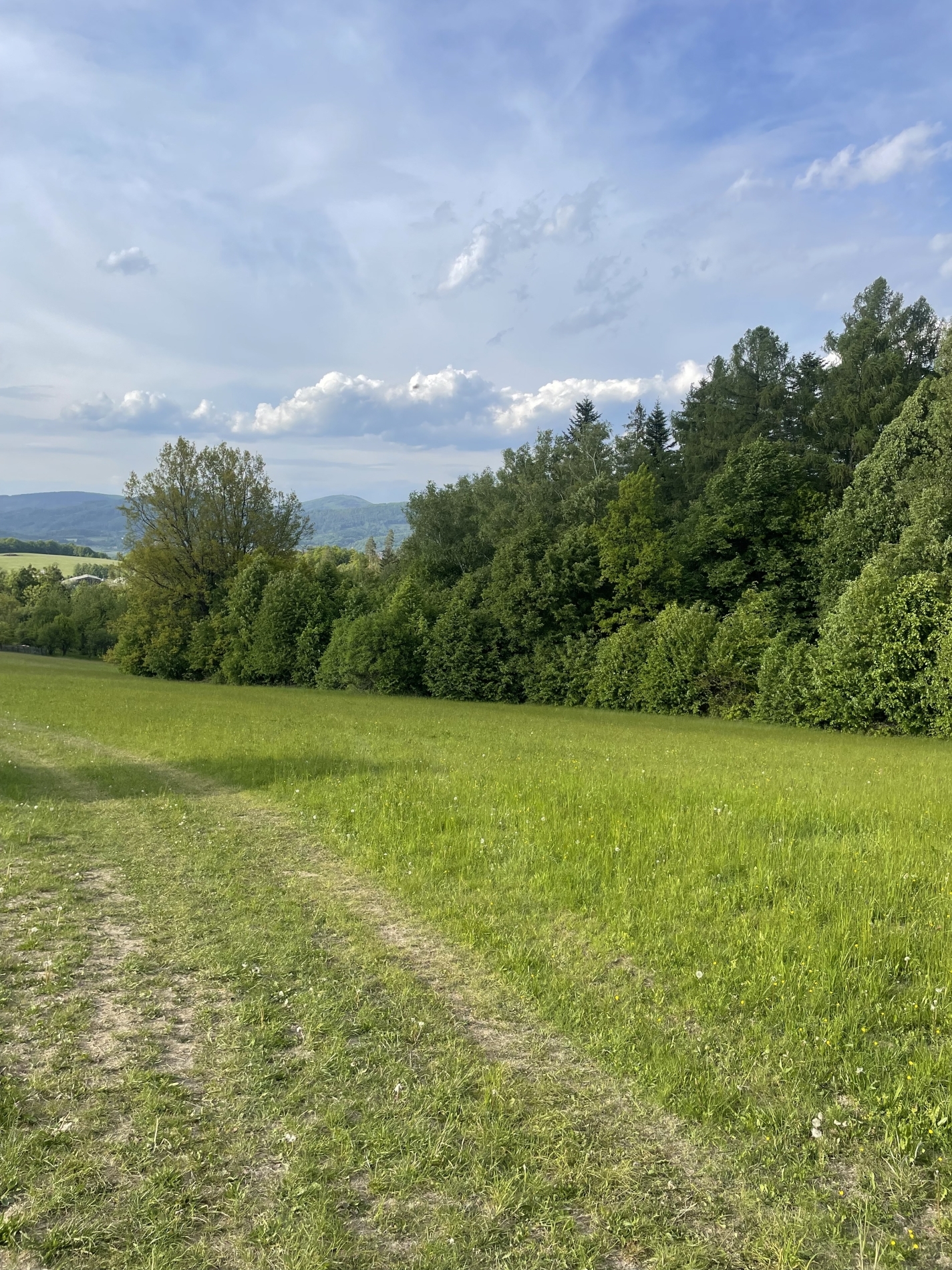 Pozemek o velikosti 12993m2, Valašské Meziříčí, podíl 1/6