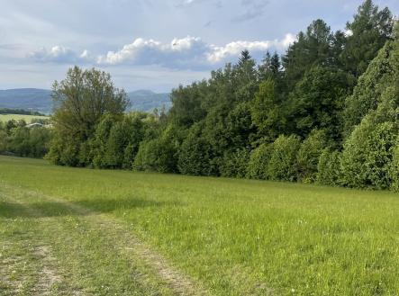 Prodej - pozemek, les, 12 993 m²