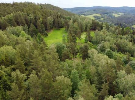 Prodej - pozemek, trvalý travní porost, 1 798 m²