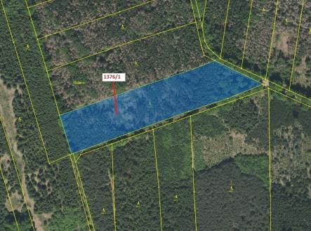 Prodej - pozemek, les, 13 807 m²