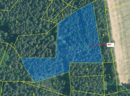 Prodej - pozemek, les, 10 437 m²