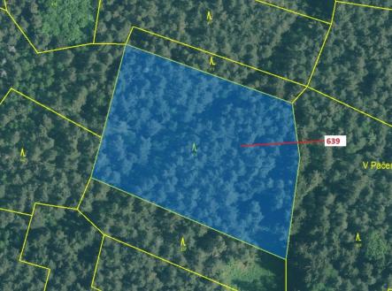 Prodej - pozemek, les, 8 912 m²