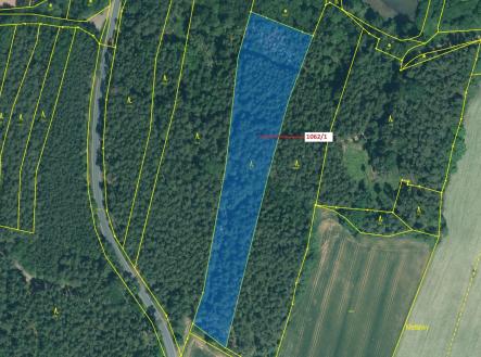 Prodej - pozemek, les, 8 653 m²