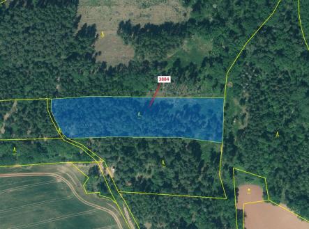 Prodej - pozemek, les, 7 695 m²