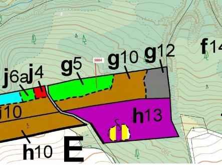 Prodej - pozemek, les, 7 695 m²