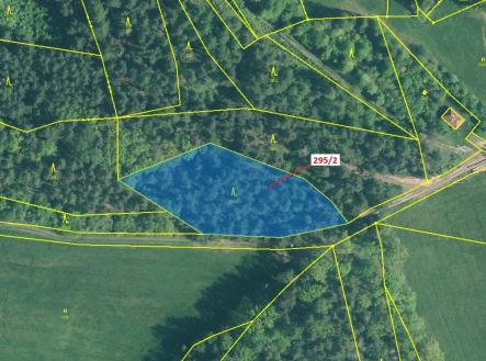 Prodej - pozemek, les, 3 255 m²