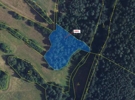 Prodej - pozemek, les, 2 873 m²