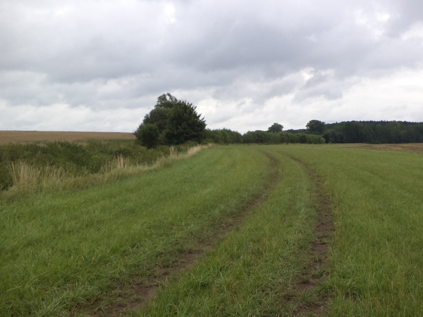 Pozemek o velikosti 8654m2, Záluží u Hořovic
