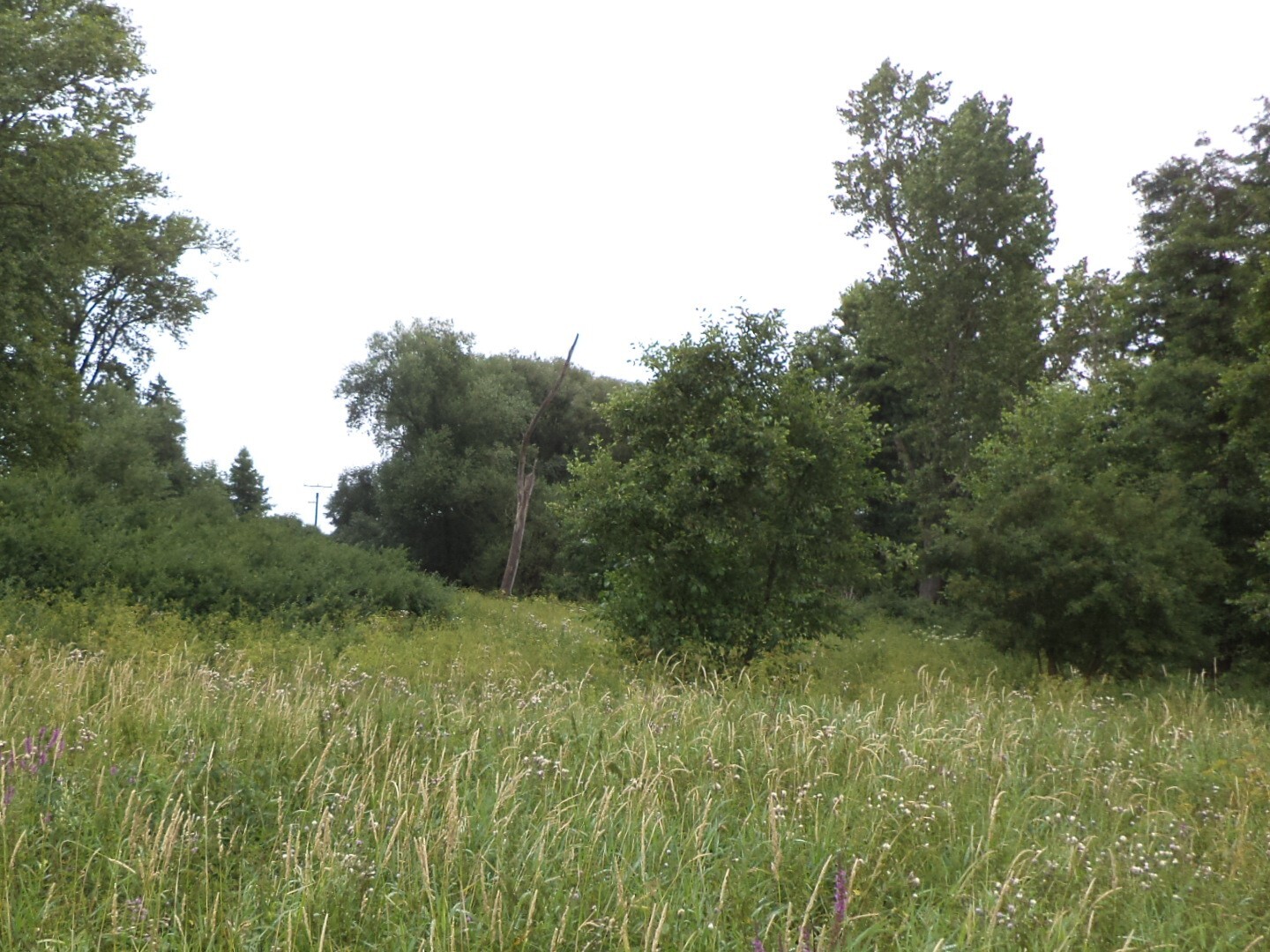 Pozemek o velikosti 8654m2, Záluží u Hořovic