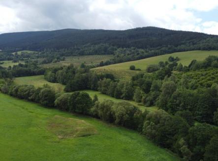 Prodej - pozemek, trvalý travní porost, 67 850 m²