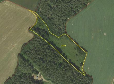 Prodej - pozemek, trvalý travní porost, 16 180 m²