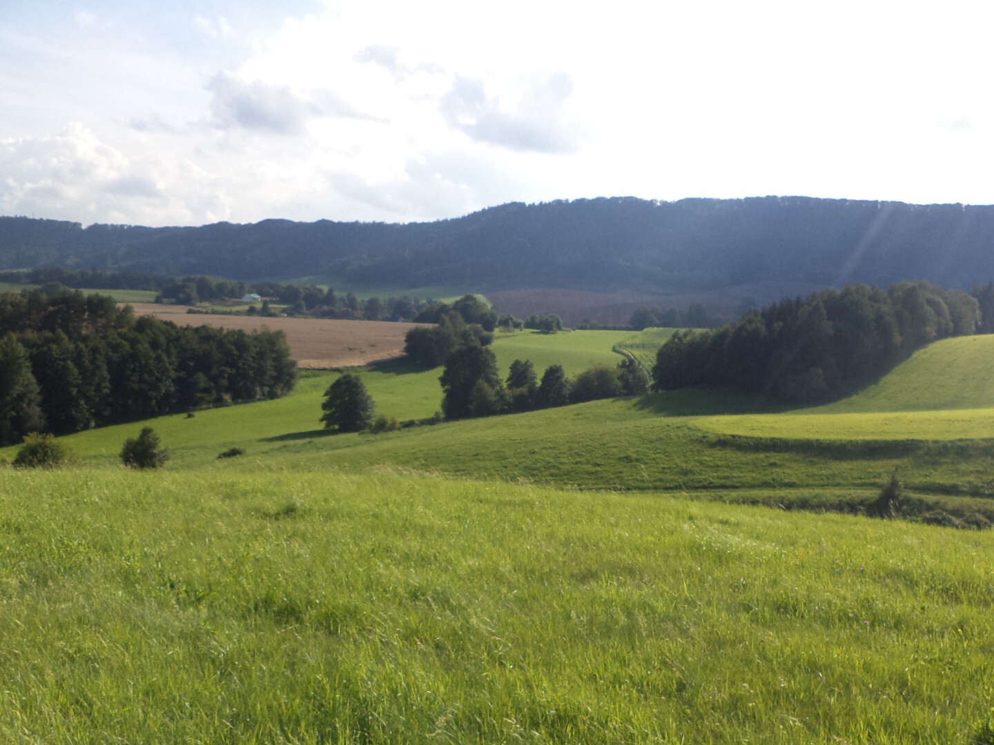 Pozemek o velikosti 71151m2, Horní Dobrouč