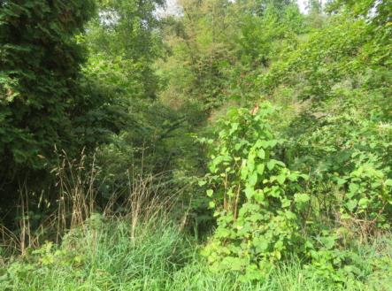 Prodej - pozemek, zahrada, 472 m²