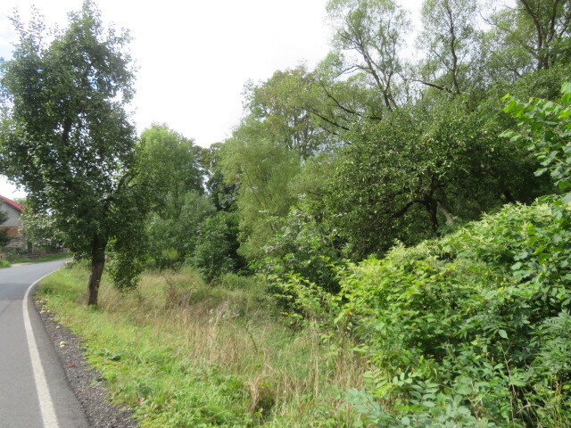 Dražba zahrady v obci Šemnice, okr. Karlovy Vary