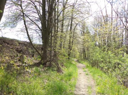 Prodej - pozemek, ostatní, 5 357 m²