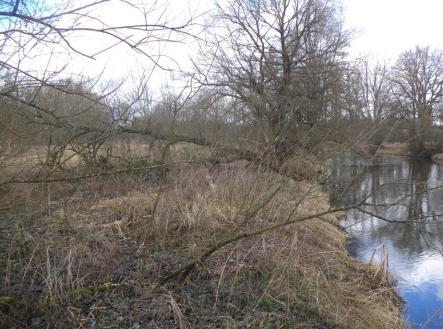 Prodej - pozemek, trvalý travní porost, 6 591 m²