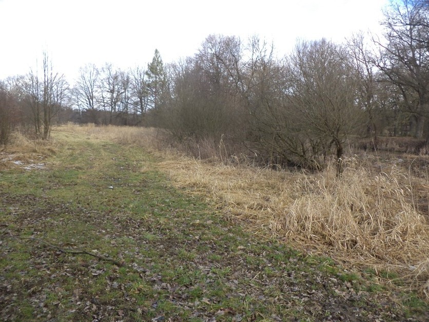 Pozemek o velikosti 6591m2, Novosedly nad Nežárkou