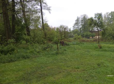 Prodej - pozemek, trvalý travní porost, 1 387 m²