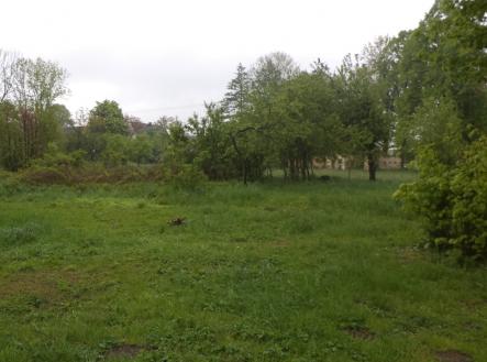 Prodej - pozemek, trvalý travní porost, 1 387 m²