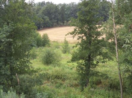 Prodej - pozemek, trvalý travní porost, 8 942 m²