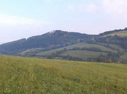 Prodej - pozemek, trvalý travní porost, 13 124 m²