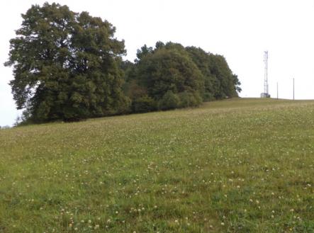 Prodej - pozemek, trvalý travní porost, 13 124 m²