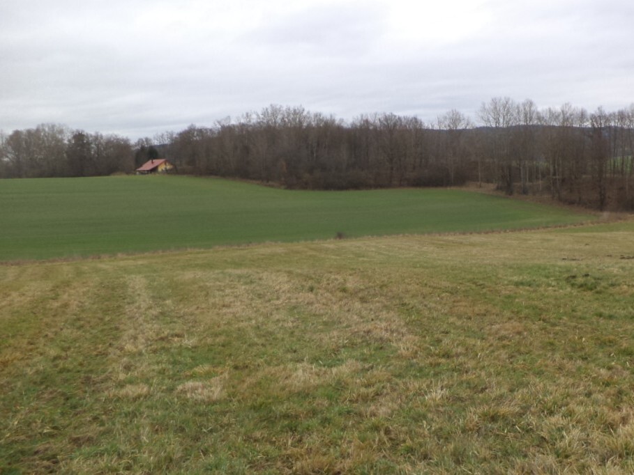 Pozemek o velikosti 19946m2, Srby nad Úslavou