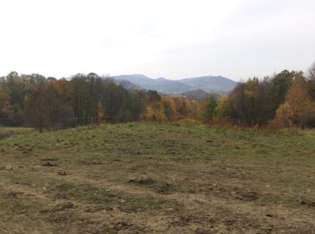 Prodej - pozemek, trvalý travní porost, 6 670 m²