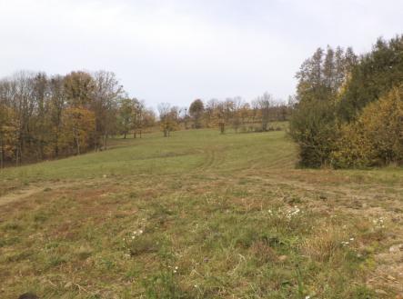 Prodej - pozemek, trvalý travní porost, 6 670 m²