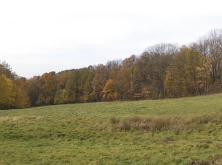 Prodej - pozemek, trvalý travní porost, 6 670 m²