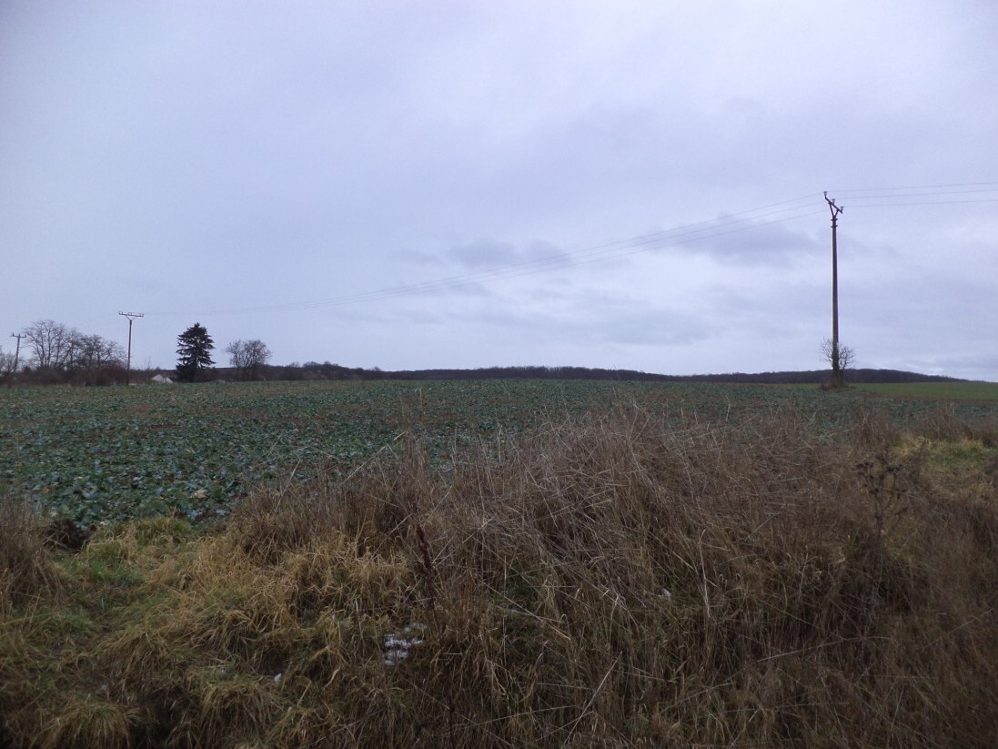 Pozemek o velikosti 6867m2, Morkůvky