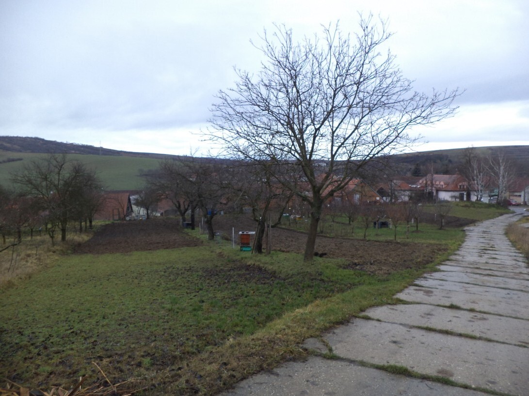 Pozemek o velikosti 6867m2, Morkůvky