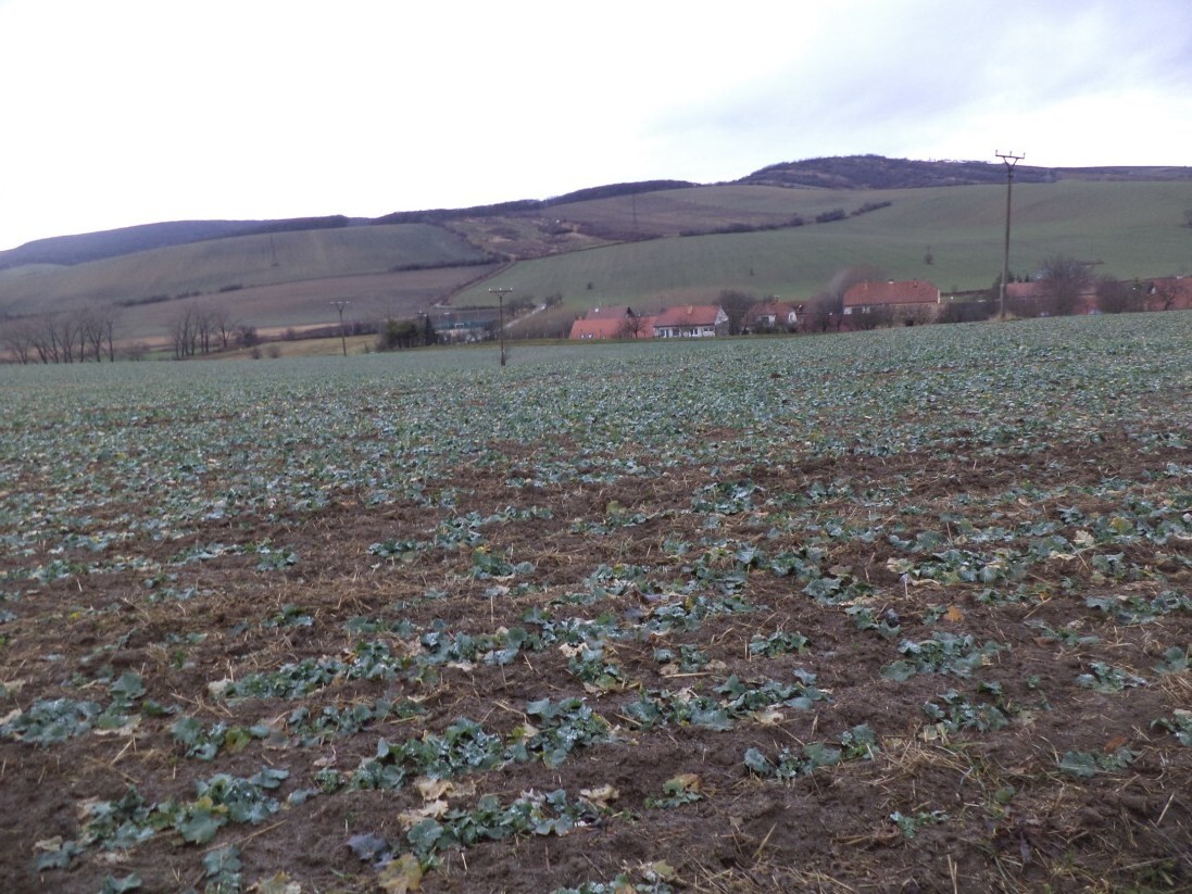 Pozemek o velikosti 6867m2, Morkůvky