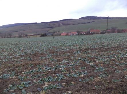 Prodej - pozemek, zemědělská půda, 6 867 m²