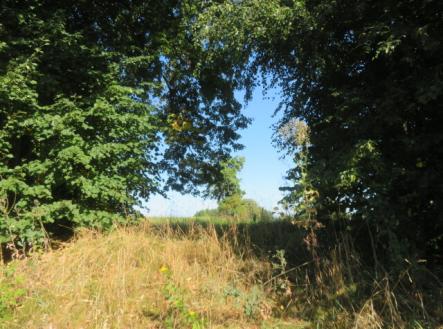 Prodej - pozemek, trvalý travní porost, 2 916 m²