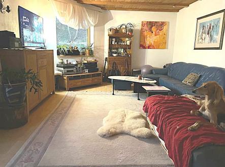 Prodej - dům/vila, 270 m²