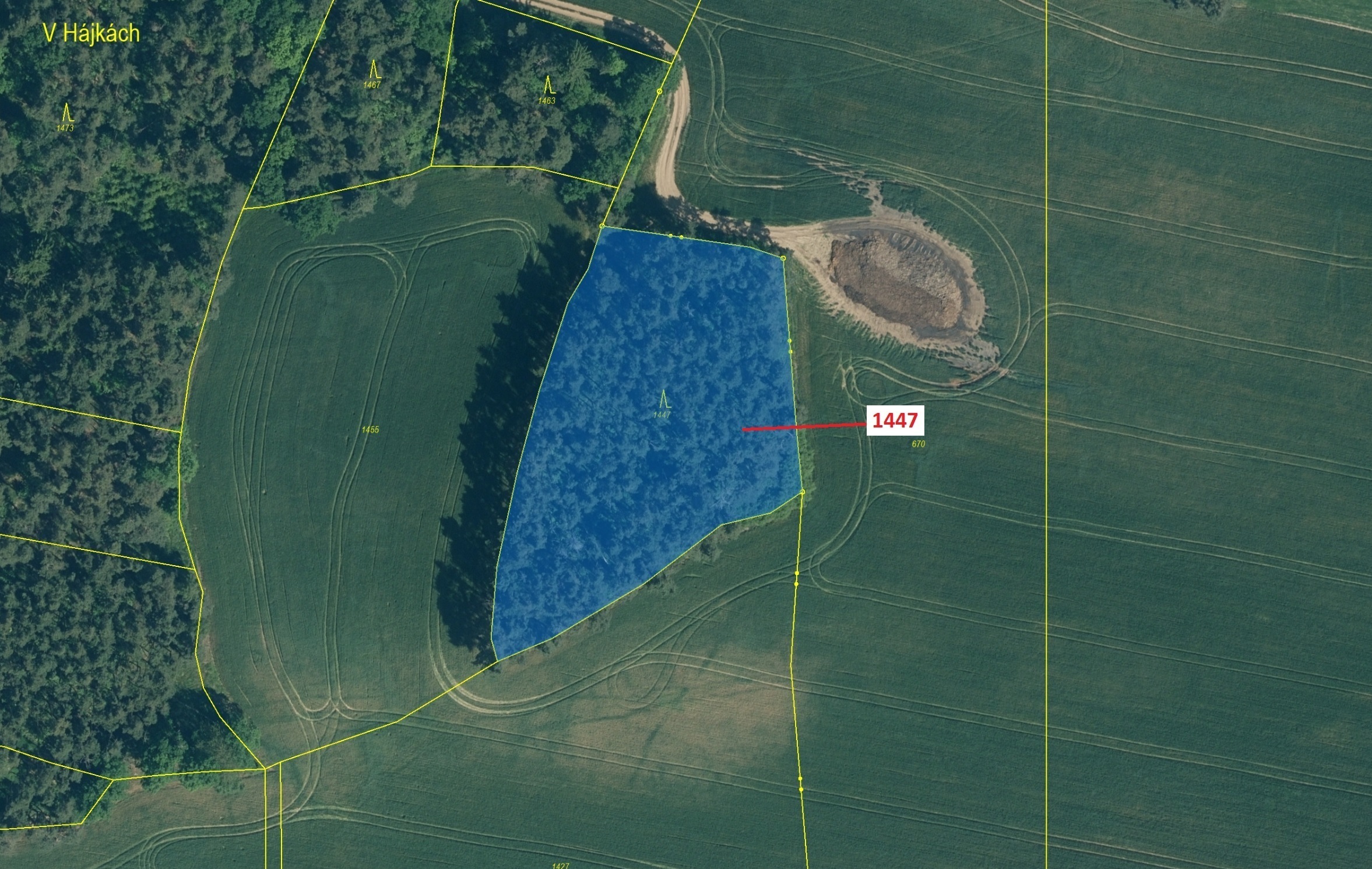 Lesní pozemek o výměře 4 542 m2, podíl 1/1, katastrální území Bezděkov u Kasejovic, obec Hradiště, o