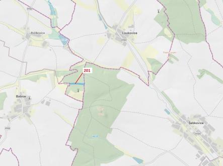 Prodej - pozemek, les, 7 796 m²