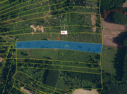 Prodej - pozemek, les, 7 796 m²