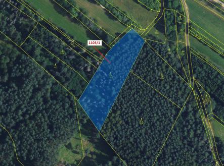 Prodej - pozemek, les, 3 474 m²